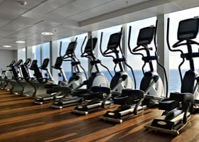 Commercial Grade Gym